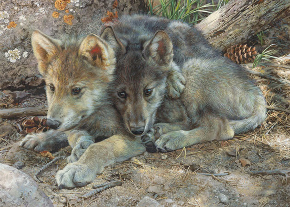Brenders-carl-brotherly-love-wolf-pups.jpg - Carl  Brenders