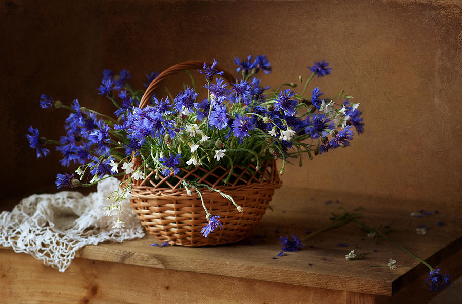 still-life-with-a-basket-of-cornflowers-alina-lankina.jpg - Alina  Lankina