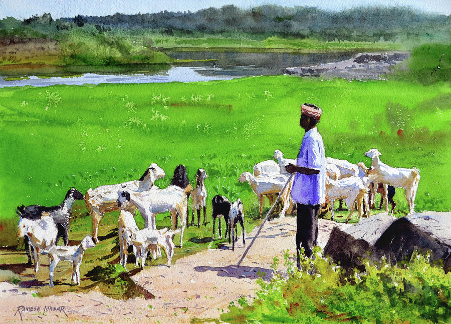 minding-his-herd-ramesh-jhawar.jpg - Ramesh  Jhawar