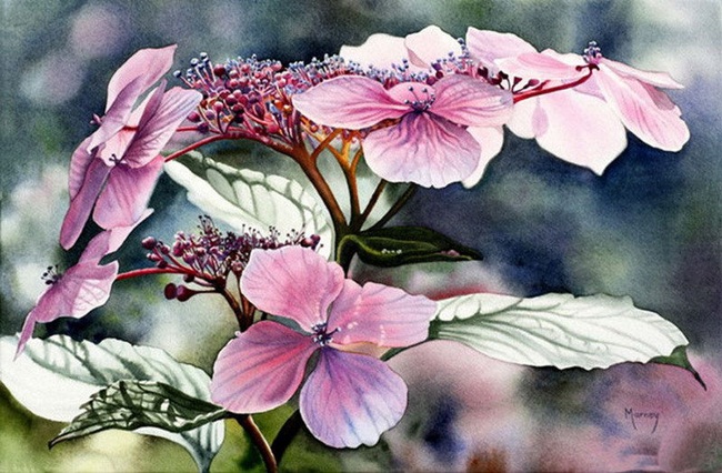 watercolor-flower-paintings-by-marney-ward-22.jpg - Marney  Ward