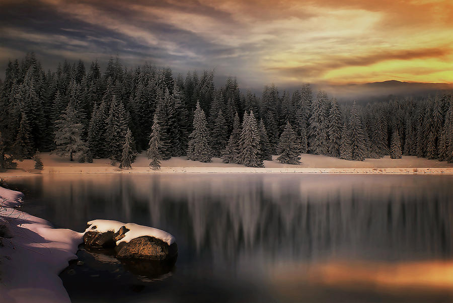 winter-tales-albena-markova.jpg - Albena Markova