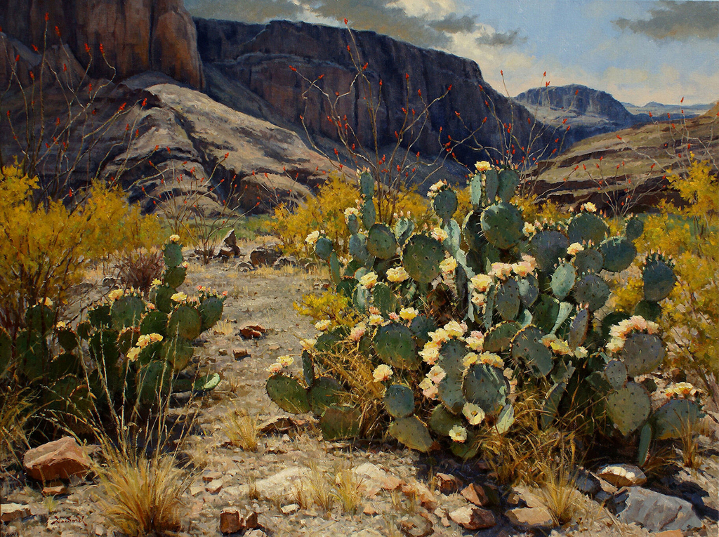desert-spring.jpg - Mark  Haworth
