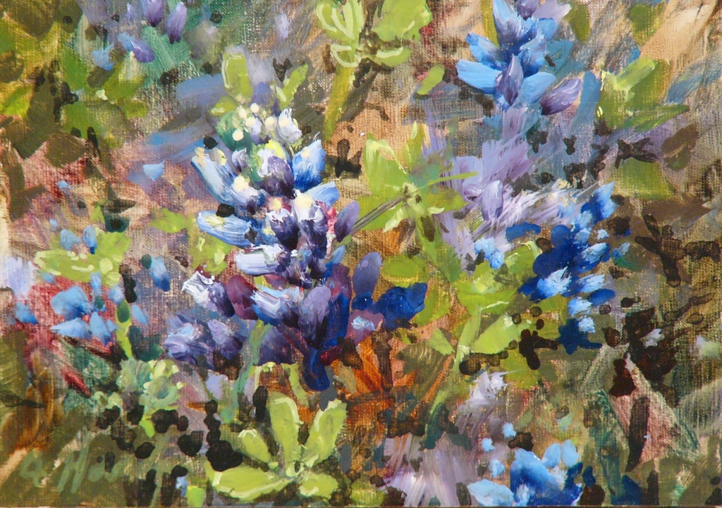 Bluebonnet Blossoms.jpg - Ann  Hardy