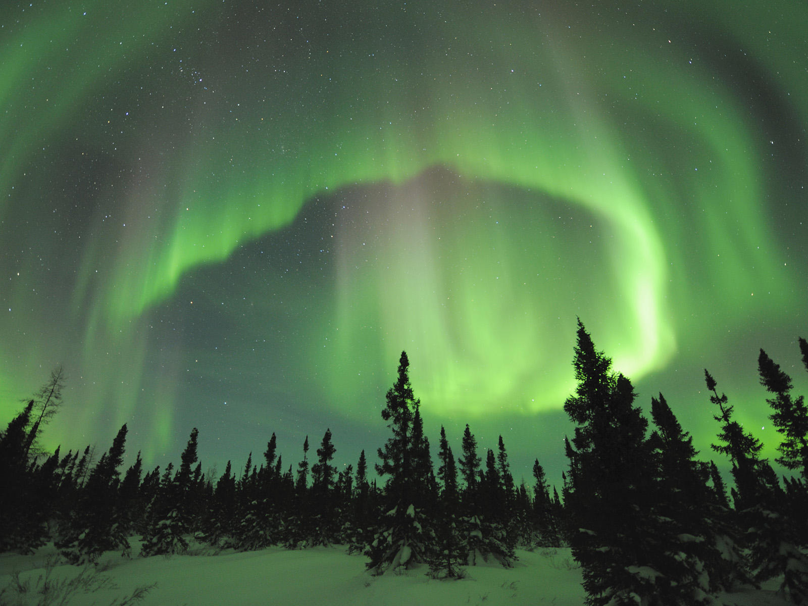 aurora-borealis-manitoba-canada.jpg - Aurora  Borealis