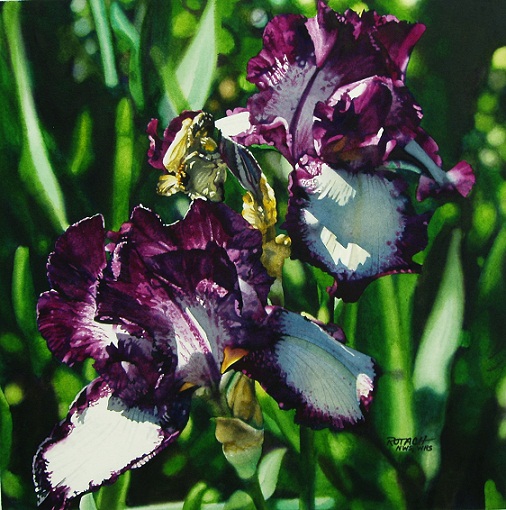 iris-watercolor-painting.jpg - Marlin  Rotach  01