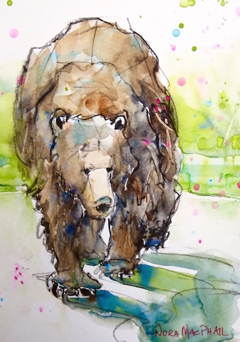 watercolour black bear animal painting art Nora MacPhail dailypaintworks Etsy WatercoloursbyNora.jpg - Nora  Mac  Phail  (02)