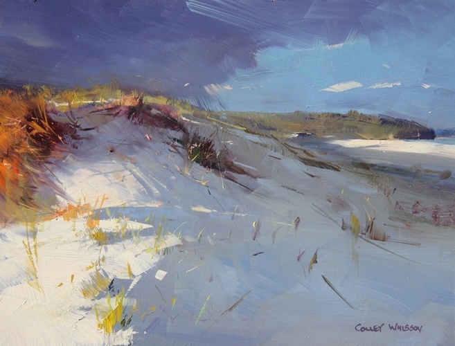 sussex_inlet_dunes_09_x_12_lightbox.jpg - Colley Whisson