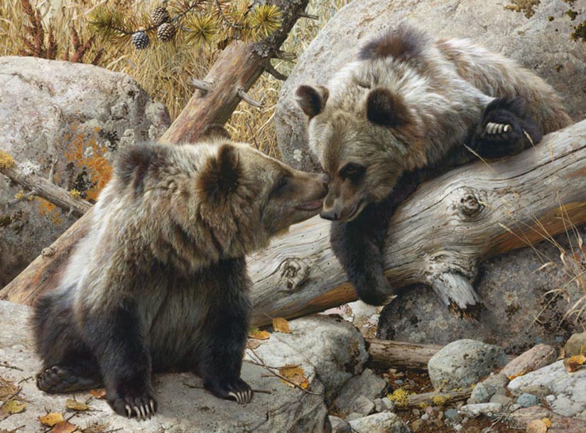 Brenders-carl-Alaska-Chat-grizzly-bears.jpg - Carl  Brenders