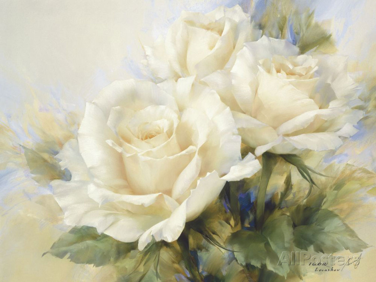 igor-levashov-bouquet-of-white-roses.jpg - Igor Levashov