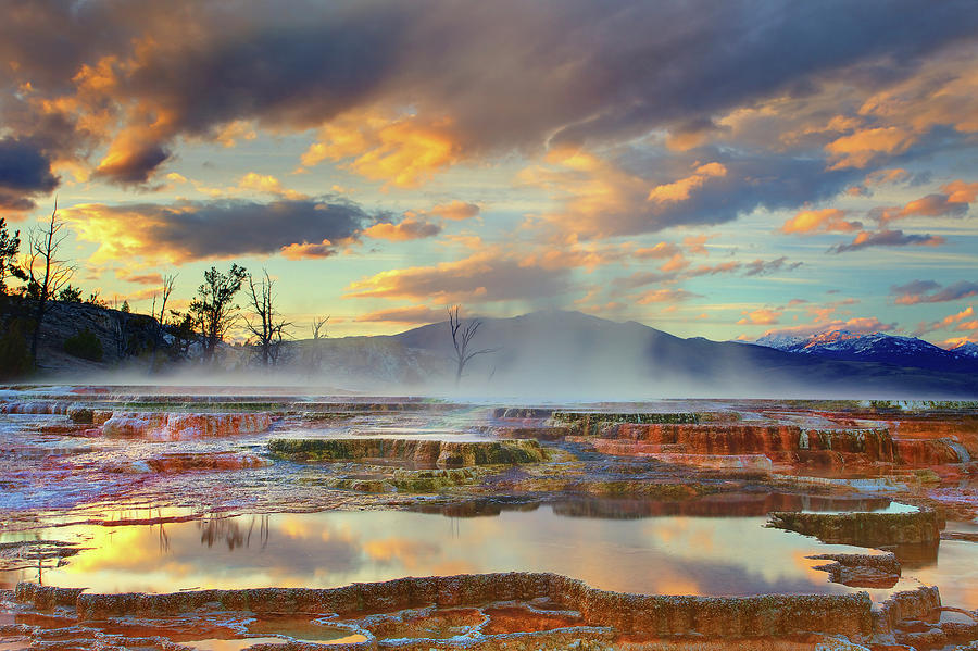 yellowstone-national-park-mammoth-hot-springs-kevin-mcneal.jpg - Kevin  Mc  Neal