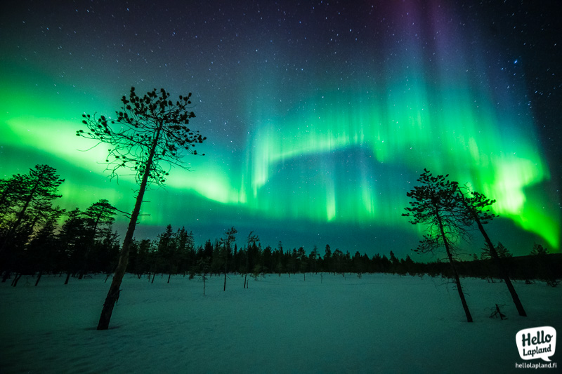 aurora-borealis-in-winter.jpg - Aurora  Borealis