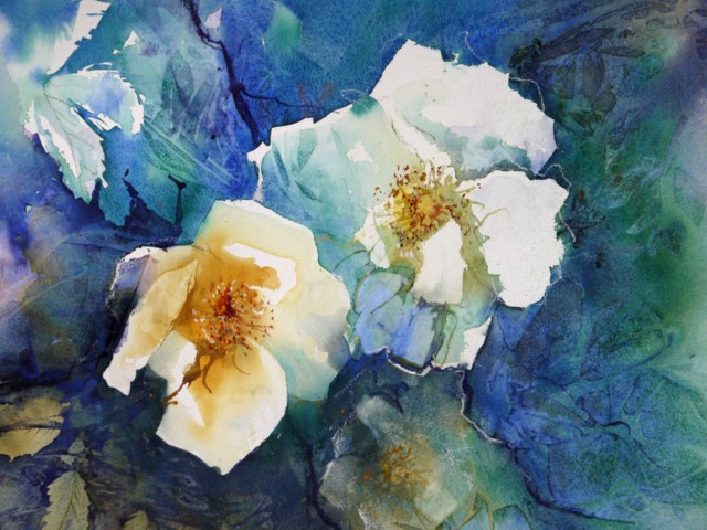 White_Roses_[640x480].jpg - Ann  Blockley