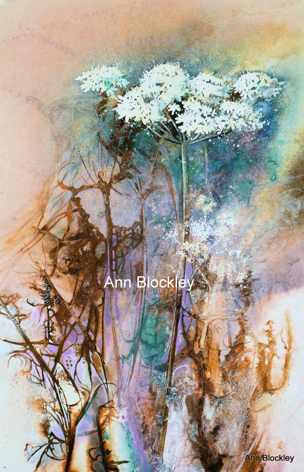 Hedgerow Hogweed.jpg - Ann  Blockley