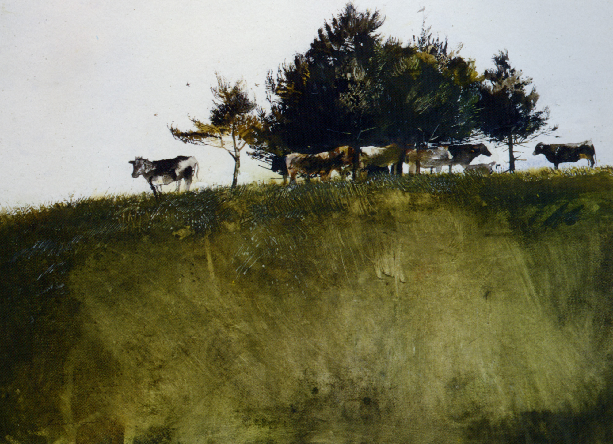Wyeth_Andrew_Shade_Trees_Watercolor_on_Paper-huge.jpg - Andrew  Wyeth