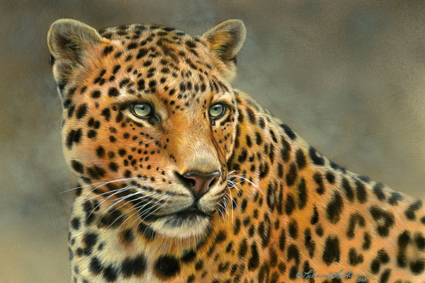 Leopard-RL.jpg - Rebacca  Latham
