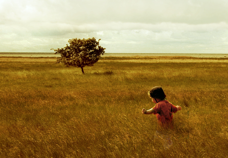 Andrew_Wyeth_inspired_by_donhosho.jpg - Andrew  Wyeth