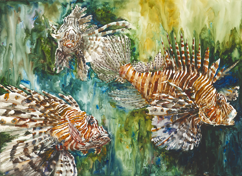 Lion Fish low res.jpg - Vickie  Nelson