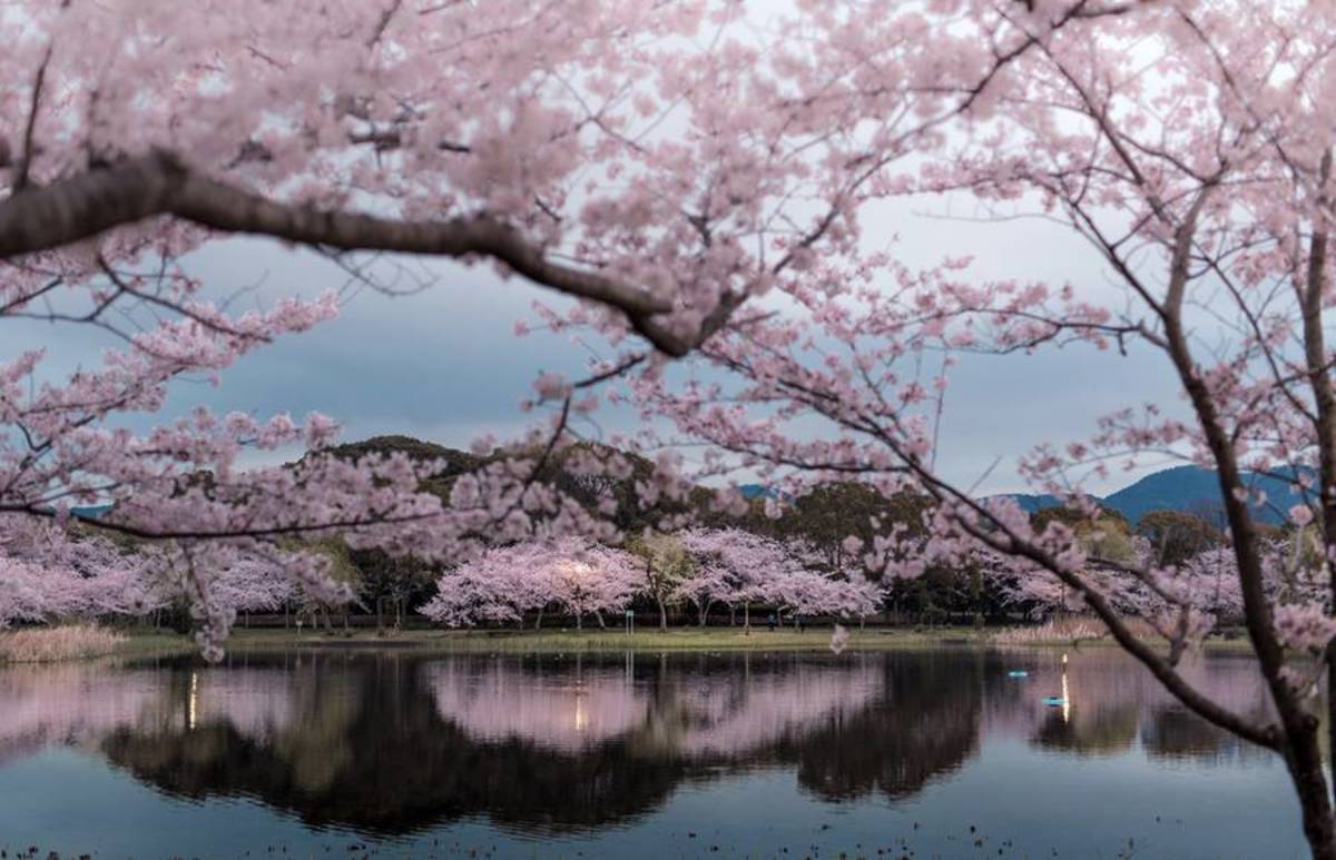 japan-landscape-photography-10jpg.jpg - Hidenobu  Suzuki
