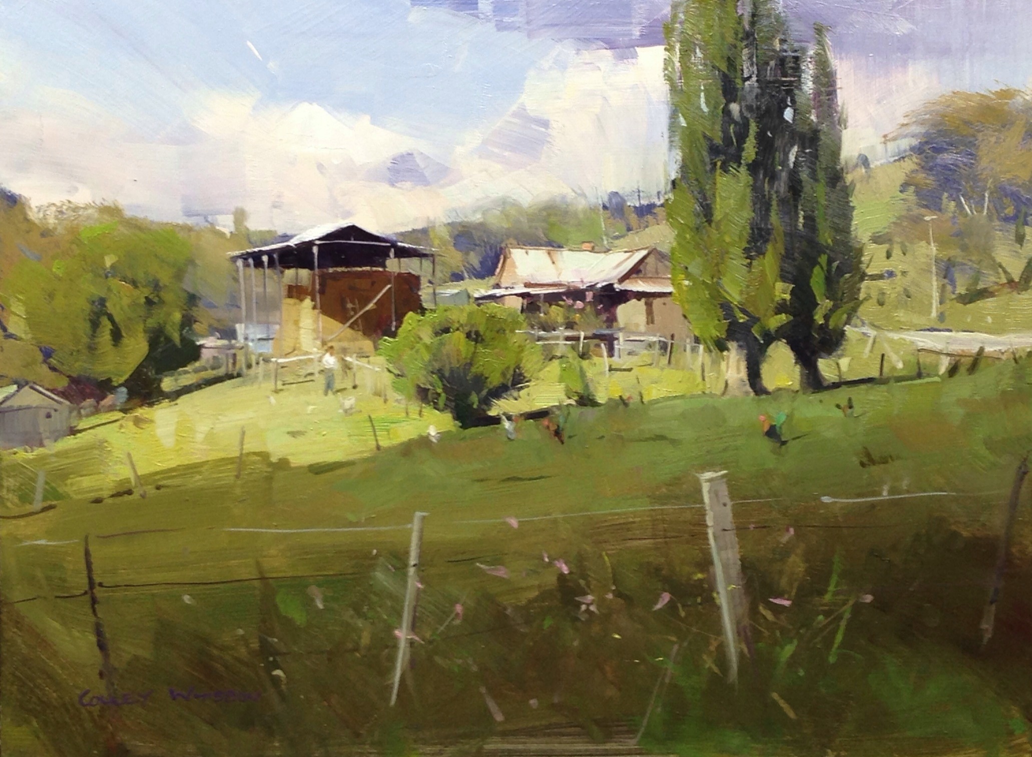 After-the-winter-rain-Victoria.jpg - Colley Whisson