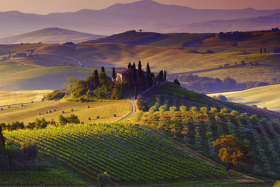 tuscan-view-francesco-riccardo-iacomino.jpg - Francesco  Riccardo