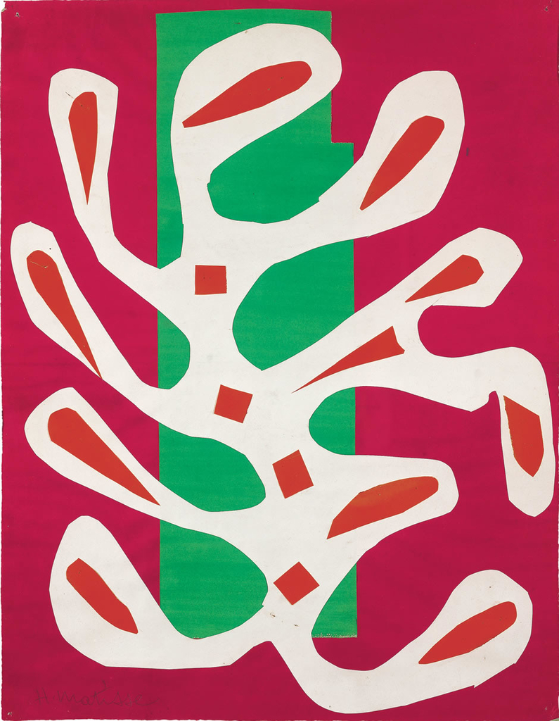 matisse-algue-blanche_l.jpg - Henri  Matisse