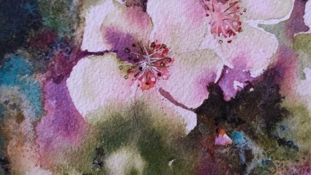 cherry blossom watercolour snippet by lee adamson ringk.jpg - Ann  Blockley