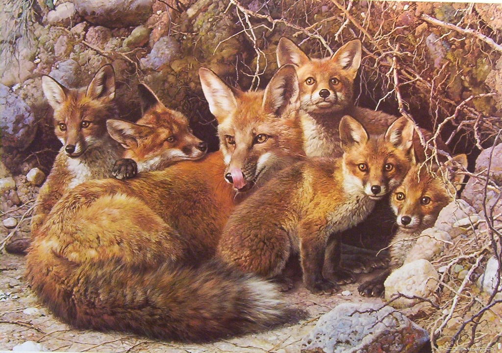 brenders-full-house-fox-family.jpg - Carl  Brenders