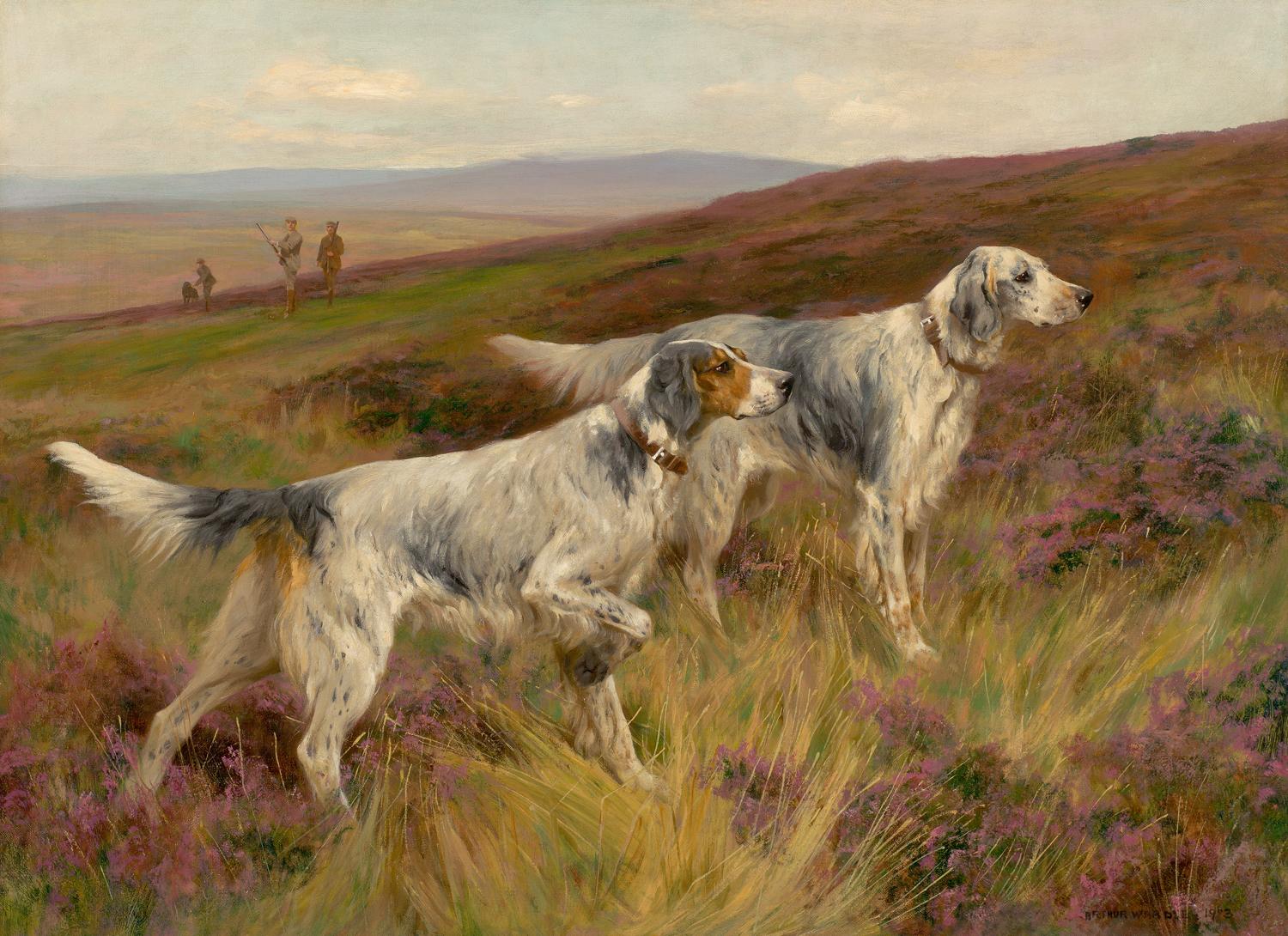 Arthur Wardle - Two English Setters on a Grouse Moor 1903.jpg - Arthur  Wardle
