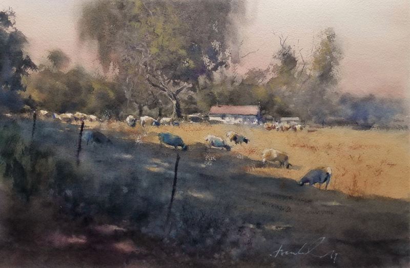 Rangeland sheep, vineyard drive,web.JPG - Frank  Eber