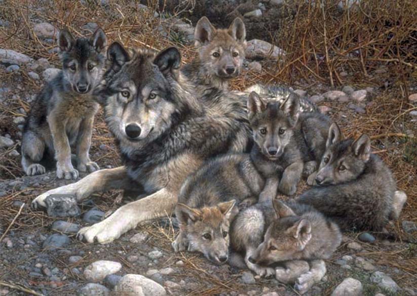 brenders-carl-den-mother-wolf-family.jpg - Carl  Brenders