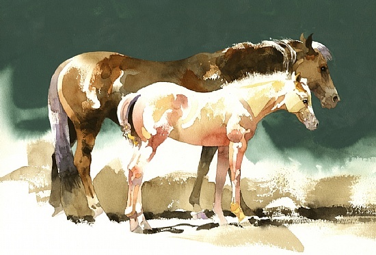 april-foal.jpg - Don  Weller